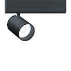 Thorn - Projecteur d"accentuation LED - SUPERSYSTEM - SUP2 M LED550-930 SP DIM 3CV BK