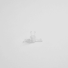 Thorn - Verrou - TECTON T16/T26 ROTAT TURN BUCKlLE 2pcs