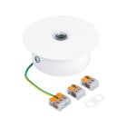 Thorn - Cache-piton - TUBILUX - TLX S/HO CEILING ROSE SURFACE