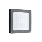 Securlite - EFFICE COULOIR 1900lm 4000K VAV IK10 IP55 L350mm hf pro preav ex/ve GR