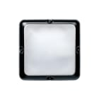Securlite - BANG CARRE E27 VAV IK11 IP55 L308mm on off NR