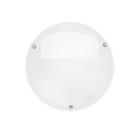 Securlite - RONDINO 900lm 4000K VAV IK11++/120j IP66 Ø270mm crepusculaire BL