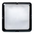 Securlite - BANG CARRE NR E27 VAV IK11 IP55 L308mm on off