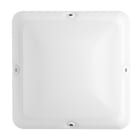 Securlite - BANG CARRE BL 1500lm 3000K IK11 IP55 L308mm hf