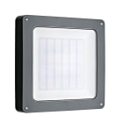 Securlite - EFFICE COULOIR GR 1400lm 4000K VAV IK10 IP55 L350mm hf pro preav ex/ve radio