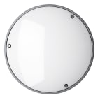 Securlite - RONDINO GR 850lm 3000K VAV IK11++/120j IP66 Ø270mm on off