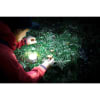 Vignette Photo produit 13