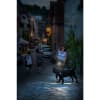 Vignette Photo produit 9