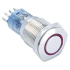 MCI - MAS2MQF-22E/G/24V/S/IP67 : bouton poussoir 2NO/NF momentané pour découpe Ø16mm