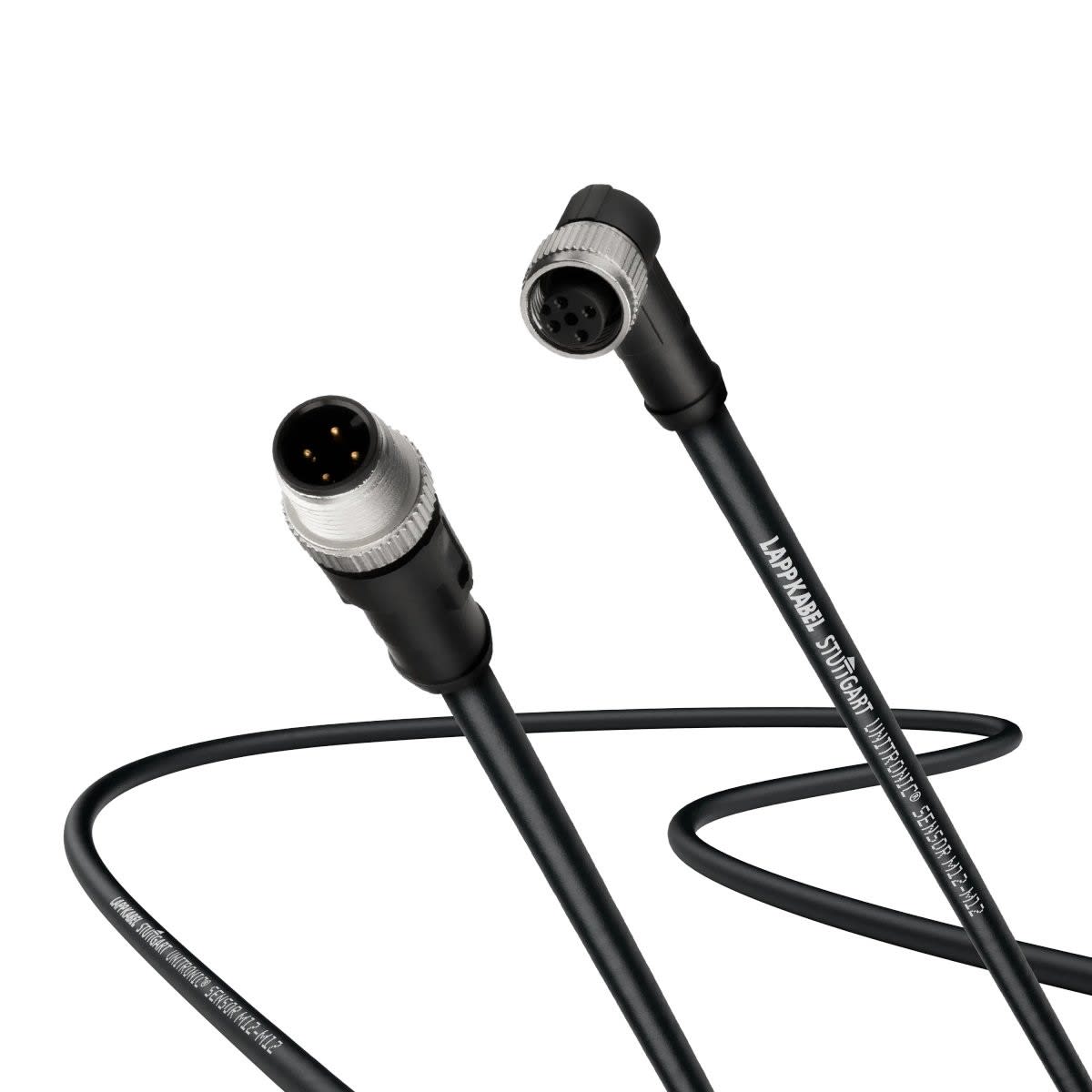 Lapp - mâle M12  sur femelle M12 