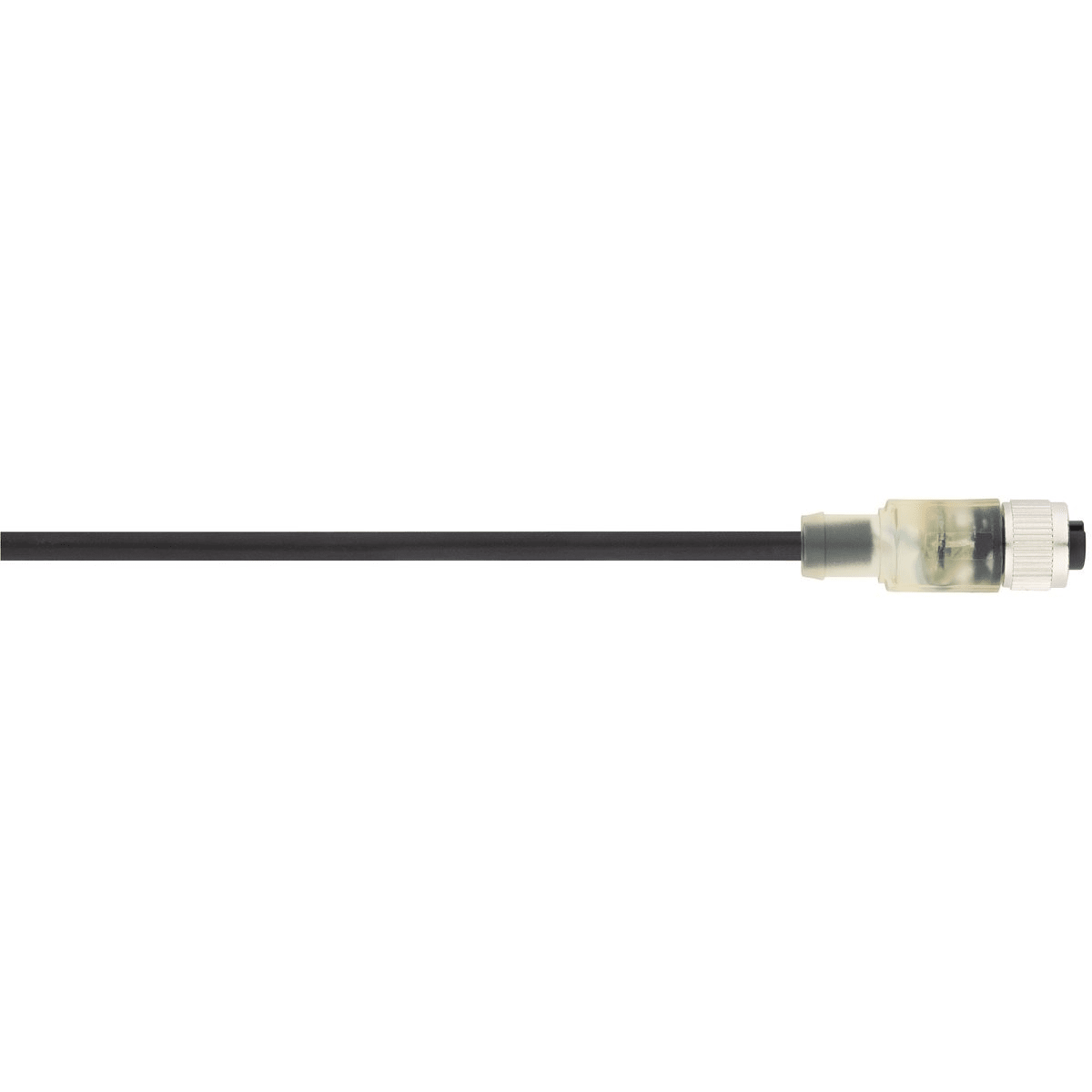 Lapp - Fiche/embase M12 sur extrémité de conducteur libre