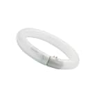 Sylvania - Tubes Fluorescents T9 Circline HR 22W 840 G10q