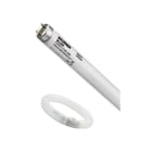 Sylvania - Lampes spéciales Anti insectes F36W T8 BL368 24"