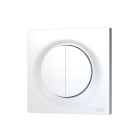 Sylvania - Gestion d'Eclairage Interrupteur mural SylSmart 2 boutons