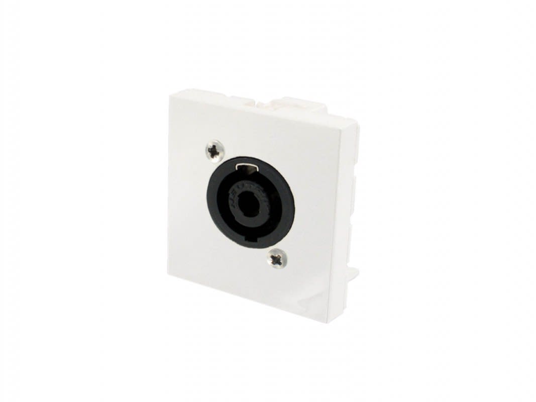 Erard - Plastron  2 modules avec embase NEUTRIK SpeakON  4 broches à vis -  - 45x45 mm