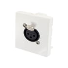 Erard - Plastron avec embase NEUTRIK XLR F 3 broches à souder - - 45x45 mm -