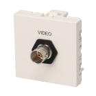 Erard - Plastron 2 modules avec traversée BNC F/F- obturateur LEGRAND - 45x45 mm - 0m20