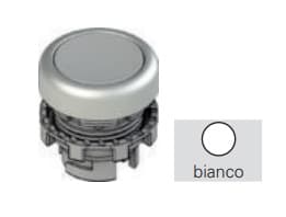 Pizzato - Bouton-poussoir lumineux affleurant, blanc avec marquage