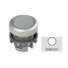 Pizzato - Bouton-poussoir lumineux affleurant, blanc avec marquage