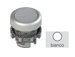 Pizzato - Bouton-poussoir lumineux affleurant, blanc avec marquage