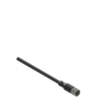 Pizzato - Connecteur M12 femelle, 12 pôles, droit avec 10m câble PUR et bague hexagonale