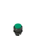 Pizzato - Bouton-poussoir lumineux dépassant, vert
