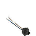 Pizzato - Connecteur M12 plastique, 4 pôles pour taraudage M20