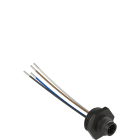 Pizzato - Connecteur M12 plastique, 5 pôles pour taraudage M20