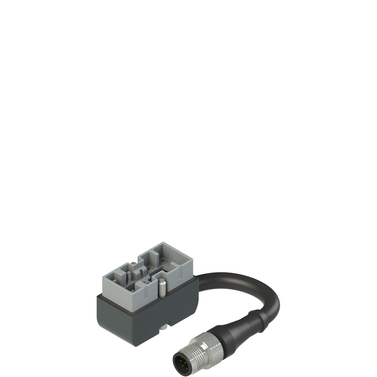 Pizzato - Connecteur en métal avec câble et connecteur M12, longueur du câble 0,2 m, 1NO+1