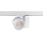 Concord - Projecteur sur rail BEACON Wallwash 48W 4089lm 940 L3 O/B Blanc
