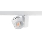 Concord - Projecteur sur rail BEACON Wallwash 48W 4089lm 940 L3 DALI Blanc