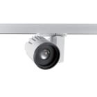 Concord - Projecteur sur rail BEACON XL Muse 41W 2544lm 930 L3 DALI Blanc