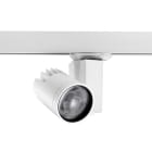 Concord - Projecteur sur rail BEACON Accent II 21W 503lm 930 L3 10° O/B Blanc