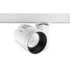 Concord - Projecteur sur rail BEACON XL Accent97 4K Faisc.Moyen L3 O-B DIM Blc