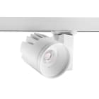 Concord - Projecteur sur rail BEACON XL II 33W 3479lm 830 L3 50° Blanc