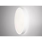 Concord - Luminaire surface et suspendu Colossal600 31,3W 3900lm PRIS Blanc D/I830