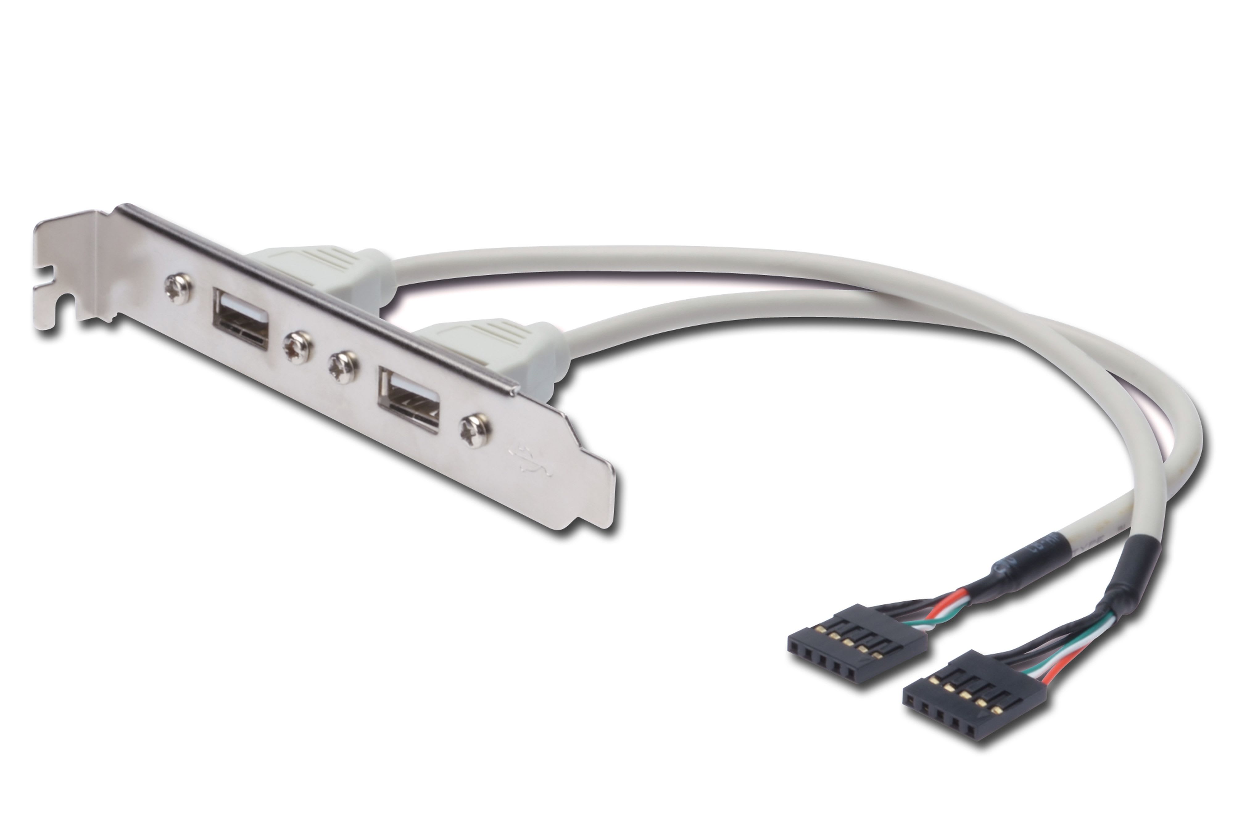Assmann Electronic - Equerre 2xUSB A - 2x5pin IDC F/F 0.25m compatible USB 2.0 beige