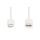 Assmann Electronic - Câble de données USB, Lightning - USB-C M/M, 2.0m, PVC, MFI, blanc , 20V/3A 60W