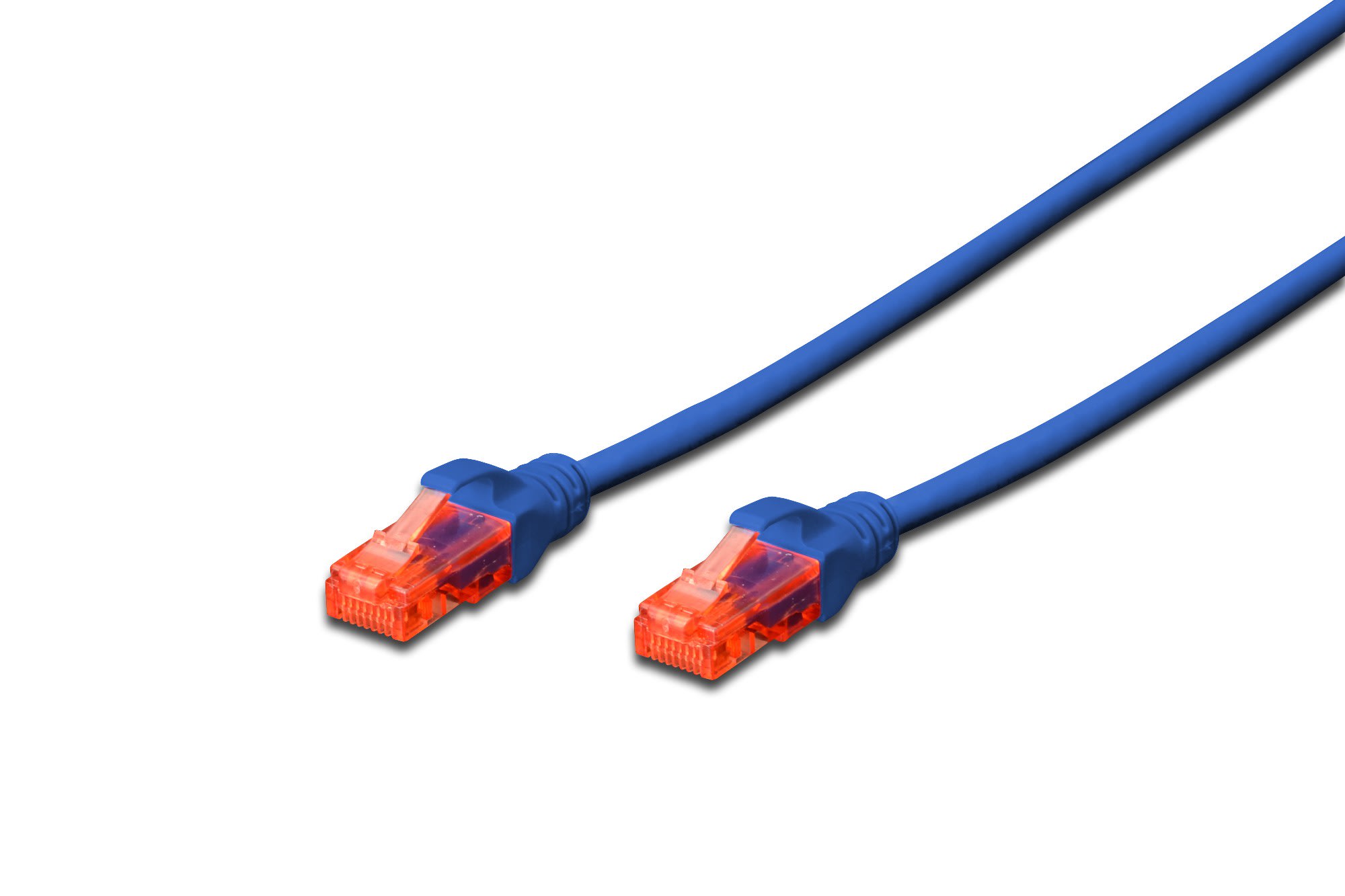 Assmann Electronic - Câble de brassage CAT6U-UTP, Cu, LSZH AWG 26/7, longueur 0,25 m, couleur bleu