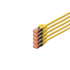 Assmann Electronic - Câble CAT6 S-FTP, Cu, LSZH AWG 27/7, longueur 10 m, 5 pièces, couleur jaune