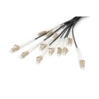 Assmann Electronic - Câble breakout 12 fibres, OM4, LC/UPC ? LC/UPC universel, couleur noir, 30 m