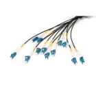 Assmann Electronic - Câble breakout 12 fibres, SM G.657.A1 LC/UPC ? LC/UPC, universel, noir, 50 m