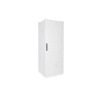 Assmann Electronic - Baie réseau 42U, Indoor IP55 2100x800x800, socle inclus, gris (RAL 7035)