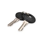 Assmann Electronic - Clé 4444 pour Varioflex-N, Unique SRV et armoires murales Unique