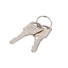 Assmann Electronic - Clé pour armoires de chargement, 1 pièce DN-45000, DN-45002, DN-45005