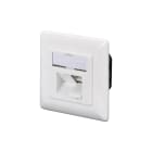 Assmann Electronic - Prise modulaire CAT 5e, blindée, 2x RJ45 8P8C, LSA, blanc pur, en saillie
