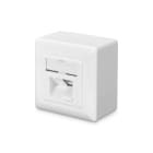 Assmann Electronic - Prise CAT6 blindée 2x RJ45, 8P8C, LSA, blanc pur, en saillie