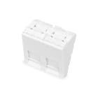 Assmann Electronic - Plaque frontale 45x45 mm, 2 ports, coudée pour DN-93802-5-SH, blanc