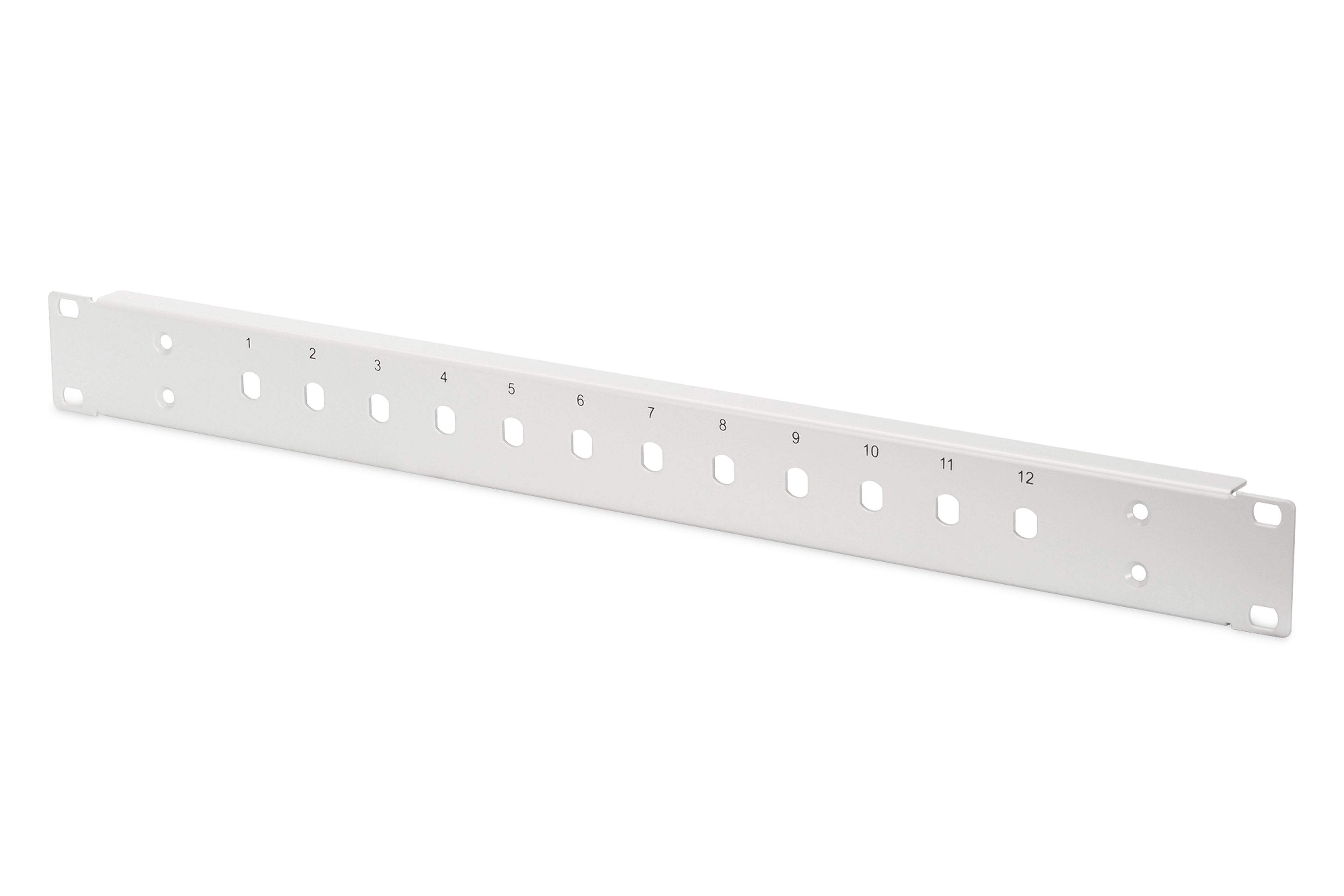 Assmann Electronic - Cache frontal FO, 1U, 12x ST, fixe gris (RAL 7035), pour les boîtes -AL et -F