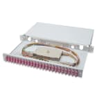 Assmann Electronic - Boîte d'épissure FO 1U équipée 24xSC DX OM4 pigtails colorés raccords